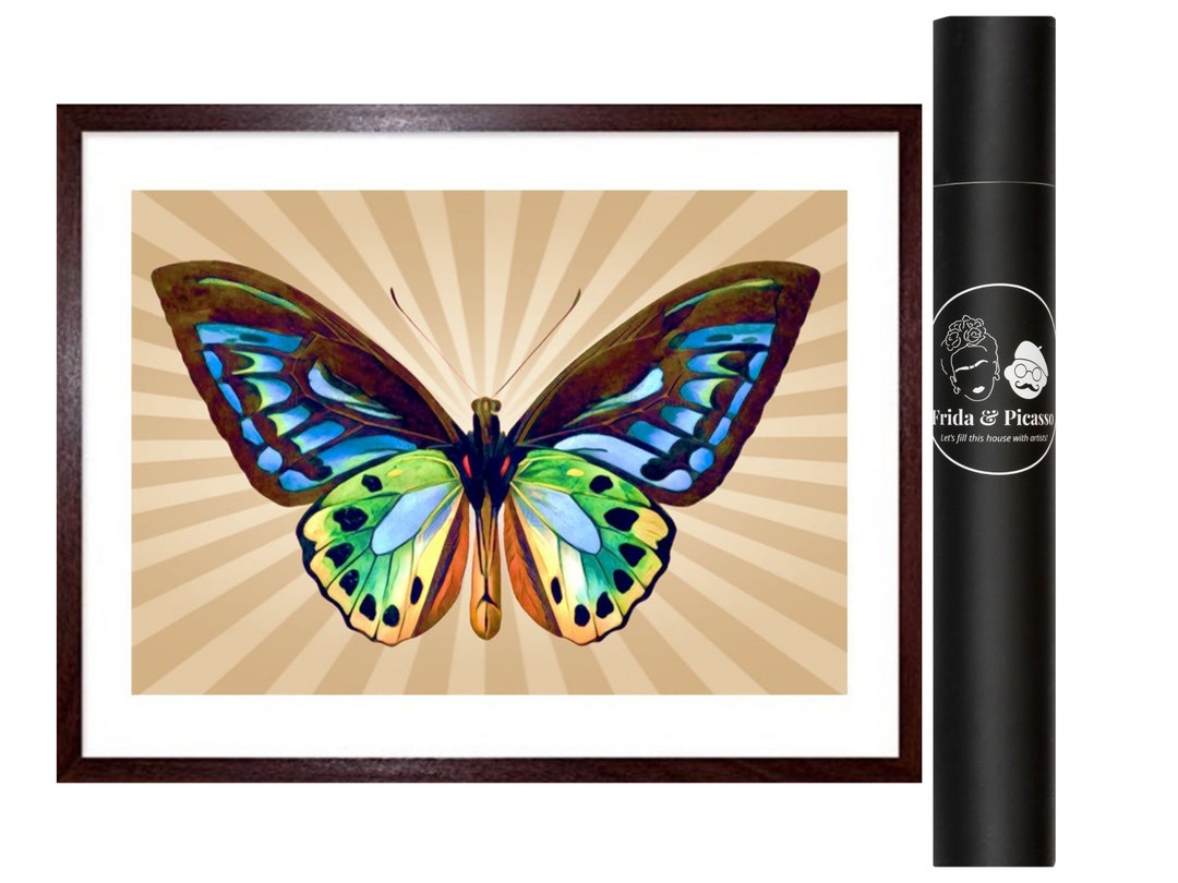 Butterfly Paint by Numbers. Custom Paint by Numbers Kit. Colorful ...