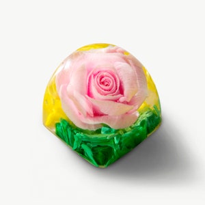Aangepaste ambachtelijke keycap, ESC-hars keycap, hars handgemaakte keycap, keycaps anime, Japanse keycaps, keycap anime, leuke keycaps, cadeau voor haar