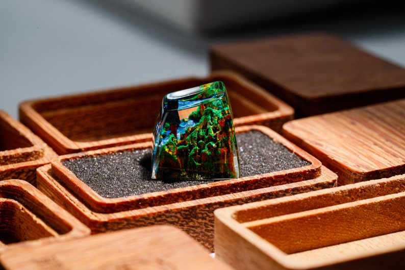 May include: A clear, rectangular resin keycap with a miniature landscape scene inside, featuring green trees, blue water, and a colorful sky. The keycap is set in a wooden box with a dark gray interior.