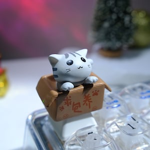 May include: A gray and white cat figurine peeks out of a brown cardboard box, with the text "包养" and paw prints. The figurine is placed on a keyboard with clear keycaps. The cat has black eyes and gray stripes.
