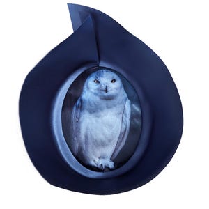 Peut inclure: Un hibou des neiges aux yeux jaunes est encadré dans un ovale bleu foncé, sur un fond bleu foncé.