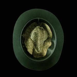 Peut inclure: Chapeau fedora vert foncé avec un bandeau en cuir noir et un intérieur à motifs cachemire. Le chapeau est vu d'en haut, mettant en valeur la doublure intérieure et le bord du chapeau.