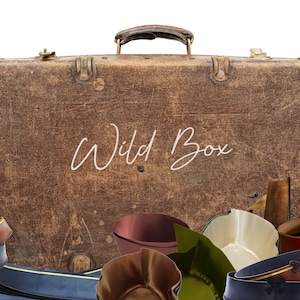 Może przedstawiać: Antyczna brązowa walizka z napisem "Wild Box" na przodzie. Walizka jest otoczona różnymi kolorowymi kapeluszami i innymi akcesoriami.