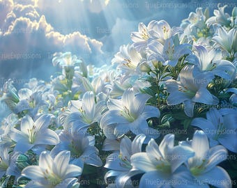 Lily Background: Christian Heaven Art, Funeral Image (PNG Download)