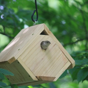 Natural cedar wren, birdhouse.