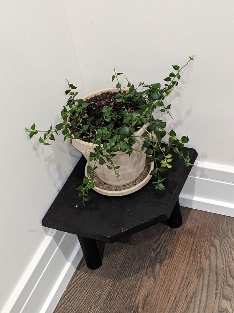 Trendy Three Legged Wooden Plant Stand Side Table Mini Etsy