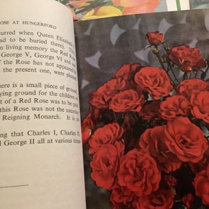 Collection of Vintage Rose Annual Books of 1952, 1953, 1954. Great gift for rose lovers. image 4