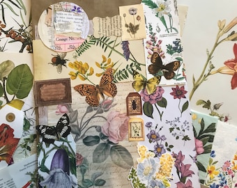 Botanical Vintage Ephemera to include in your journals, scrapbooking, mixed media etc.
