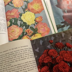 Collection of Vintage Rose Annual Books of 1952, 1953, 1954. Great gift for rose lovers. image 2