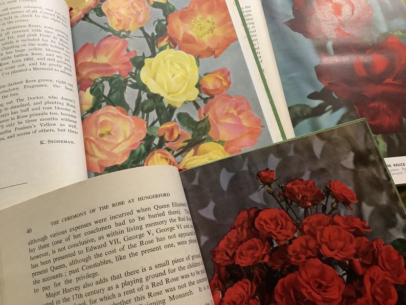 Collection of Vintage Rose Annual Books of 1952, 1953, 1954. Great gift for rose lovers. image 2