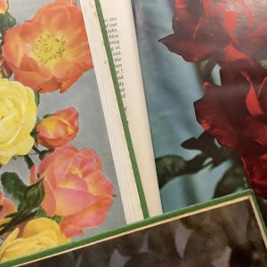 Collection of Vintage Rose Annual Books of 1952, 1953, 1954. Great gift for rose lovers. image 1