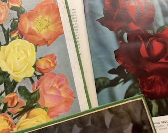 Collection de livres vintage "Rose Annual" de 1952, 1953, 1954. Grand cadeau pour les amateurs de roses.