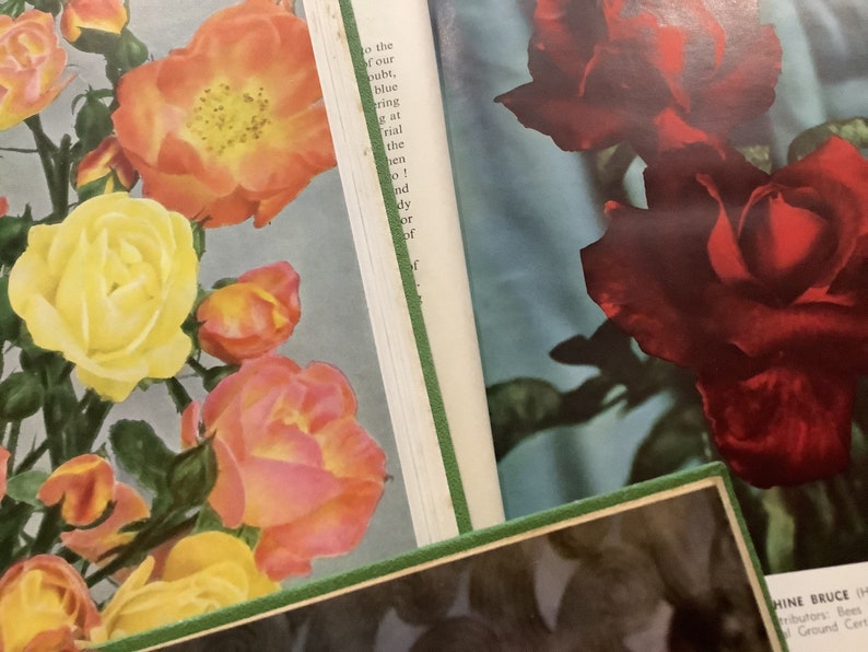 Collection of Vintage Rose Annual Books of 1952, 1953, 1954. Great gift for rose lovers. image 1