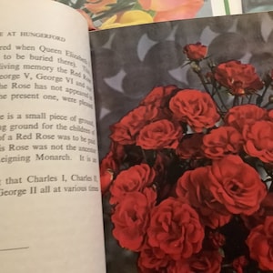 Collection of Vintage Rose Annual Books of 1952, 1953, 1954. Great gift for rose lovers. image 8