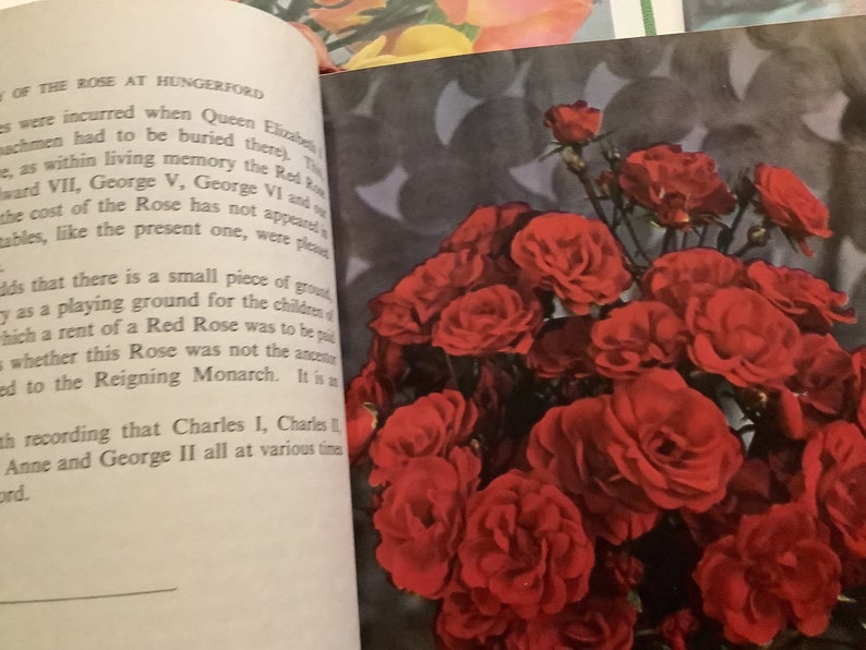 Collection of Vintage Rose Annual Books of 1952, 1953, 1954. Great gift for rose lovers. image 8