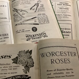 Collection of Vintage Rose Annual Books of 1952, 1953, 1954. Great gift for rose lovers. image 3