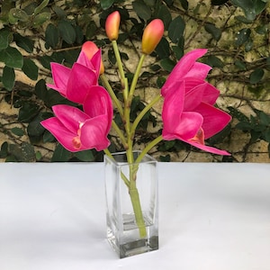 Beautiful Real Touch Cymbidium Orchid Stem in Faux Water