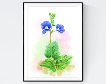 Signed Art Print / Wildflowers / Honorary Prize