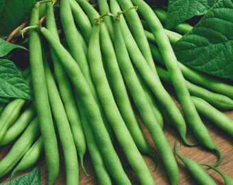 May include: A bunch of fresh green string beans, arranged on a wooden surface.
