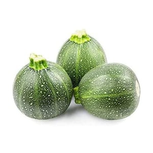 20 ROUND ZUCCHINI summer Squash SEEDS