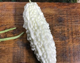 Bitter Melon Seeds Etsy