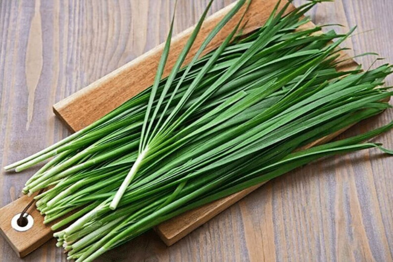 2g 500 NIRA Broad Leaved GARLIC CHIVE vietnamese Hė allium Etsy