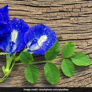 Puede incluir: Tres flores azules de guisante mariposa con centros blancos y hojas verdes sobre una superficie de madera desgastada.
