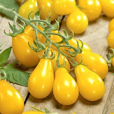 100 seeds - Yellow Pear Cherry Tomato - very sweet- Heirloom non GMO seeds