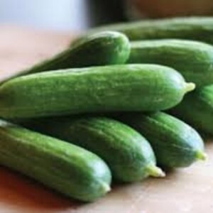 20 seeds cute little Baby CucumberF1 very protective must have to your garden-Green Little Finger Cucumber seeds image 4