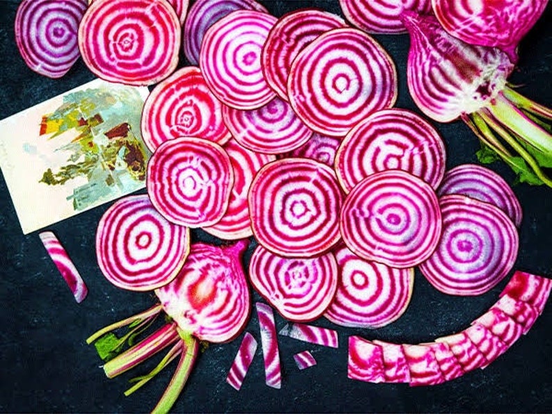 Chioggia Guardsmark Beet Seed