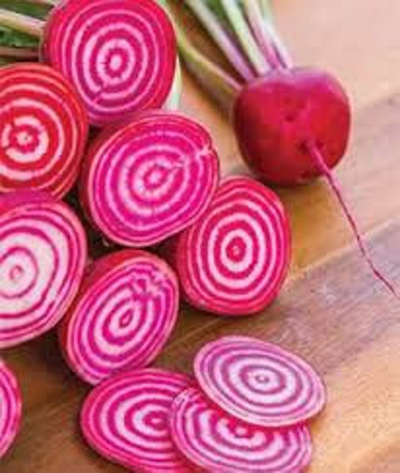 Chioggia Guardsmark Beet Seed - Thumbnail 2