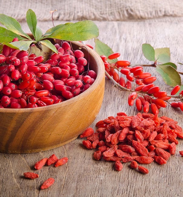 Wolfberry Berry - Etsy