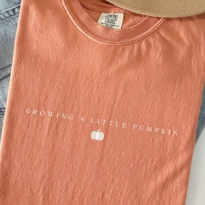 Growing A Little Pumpkin Shirt, Thanksgiving Pregnancy Announcement Tee, Fall Pregnancy T-shirt, Autumn Baby Reveal Shirt, RZ818