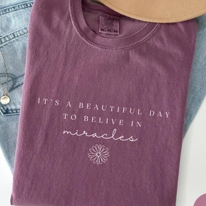 IVF Transfer Day Comfort Colors® Shirt, Es ist ein schöner Tag, um an Wunder zu glauben, Ivf Iui Transfer Day Egg Retrieval Tee, IVF Geschenk, RZ841