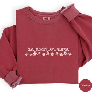 Tröja för sjuksköterska före förlossningen, OBGYN Nurse Crewneck, Prepartum Testing Unit ATU Nurse, Antepartum RN Labor, Delivery Nurse Gifts, RZ702