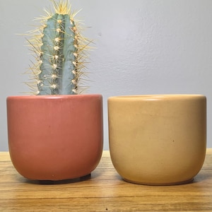 Medium Concrete Planter Set of 2 | Minimalist plant Pot |  Boho Planter with Drainage | Modern Indoor Planter | Flower Pot | 3 Inch Pots