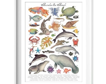 Australian Sea Animals collection - Art Print, Poster