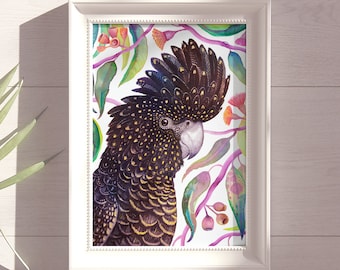 Red-Tailed Black Cockatoo Art Print: Australian Native Bird Art
