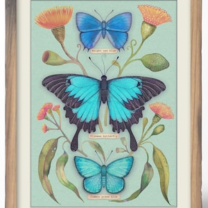 Puede incluir: Una impresión artística enmarcada que presenta una ilustración botánica de tres mariposas en tonos azules y turquesas, con flores naranjas y amarillas y hojas verdes. La obra de arte está sobre un fondo verde claro, con las palabras "Wild Garden" y "Art by Vlad Stankovic".