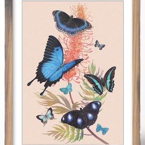 Puede incluir: Una impresión artística enmarcada con una ilustración botánica de mariposas y flores. Las mariposas son de varios tonos de azul y negro, sobre un fondo melocotón claro. La obra de arte se titula "Wild Garden" de Vlad Stankovic.