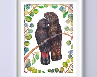May include: Watercolor print of two black cockatoos perched on a branch, surrounded by green and blue eucalyptus leaves. The birds have red tail feathers and are set against a white background. The print is framed in a white border, with the text "Wild Garden" at the bottom.