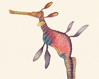 Seadragon Kunstdruck: Meerestier Illustration