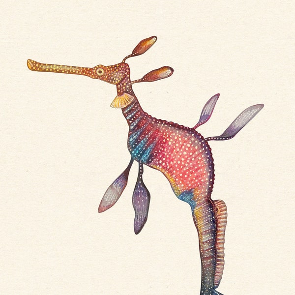 Weedy Seadragon Art Print: Sea Animal Illustration