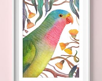 Princess parrot, Australian Bird Art, Botanical Wall Art, Vintage Bird Print, Parrot Illustration, Jungle Decor, Nature Wall Art, Floral Art