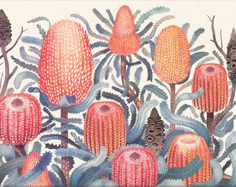 Puede incluir: Una impresión botánica enmarcada con una ilustración en acuarela de flores de banksia. La obra de arte muestra vibrantes flores naranjas y rojas con follaje azul-verdoso sobre un fondo crema. El texto "Wild Garden" está en la esquina inferior derecha.