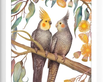Puede incluir: Una impresión en acuarela enmarcada que presenta dos cacatúas posadas en una rama, rodeadas de hojas y flores de eucalipto. Las aves tienen plumaje gris y amarillo. La obra de arte se titula "Wild Garden" de Vlad Stankovic.