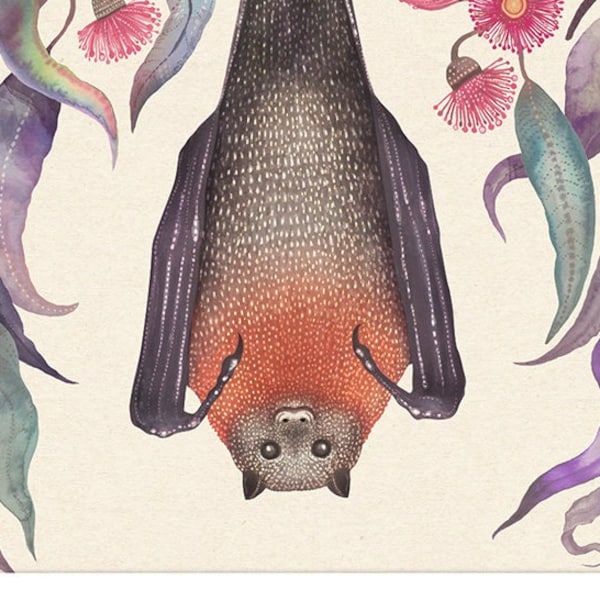 Grey-Headed Flying Fox