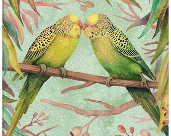 セキセイインコ | オーストラリアの鳥のイラストプリント ウォール