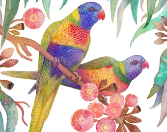Rainbow Lorikeets, Australian Native Birds, Botanical Wall Art, Vintage Bird Print, Parrot Illustration, Jungle Decor, Nature Wall Art