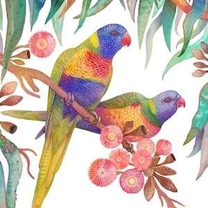 Regenbogen Lorikeet Aquarell Druck: Australische Papagei Kunst